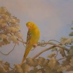 Lire la suite à propos de l’article Un ciel (peint) au plafond