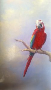 Plafond peint décoration, ciel et ara detail