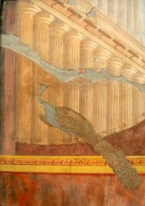 Fresque paon, villa de Poppée, Pompéi