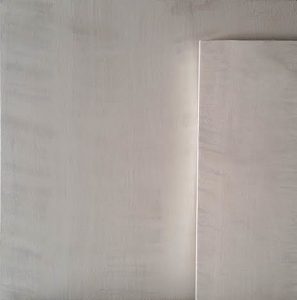 Imitation bois sycomore sur murs, Hôtel du Collectionneur